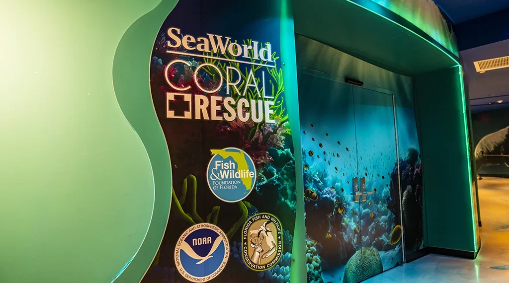 The Entrance To Seaworld Orlando's Coral Rescue Center