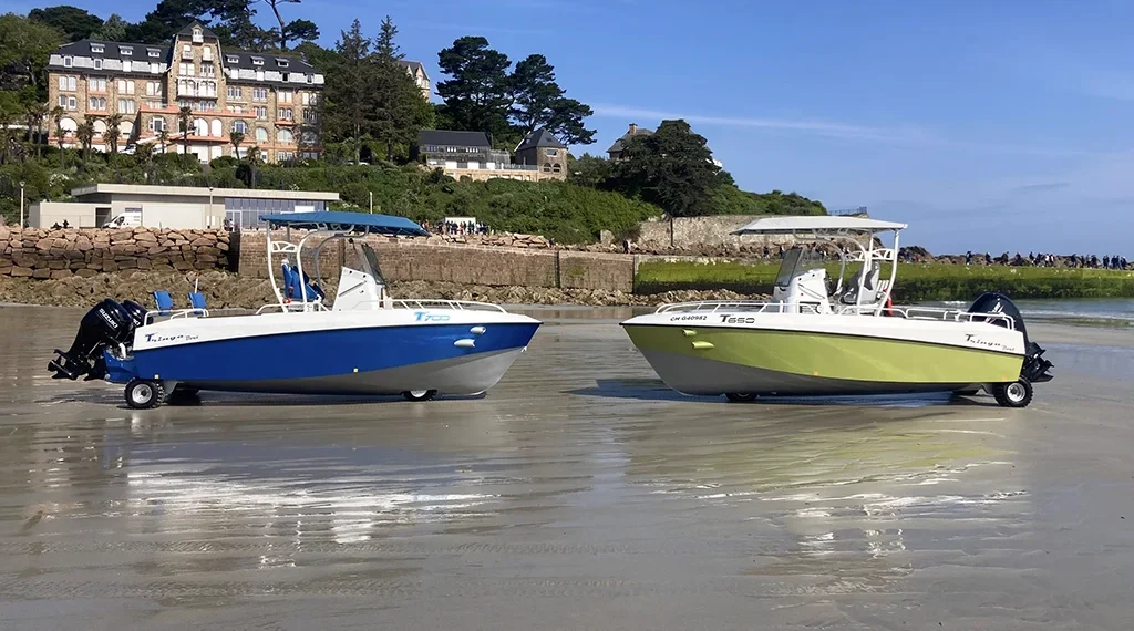 Two e-tringa electric models