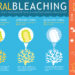 Coral Bleaching Infographic